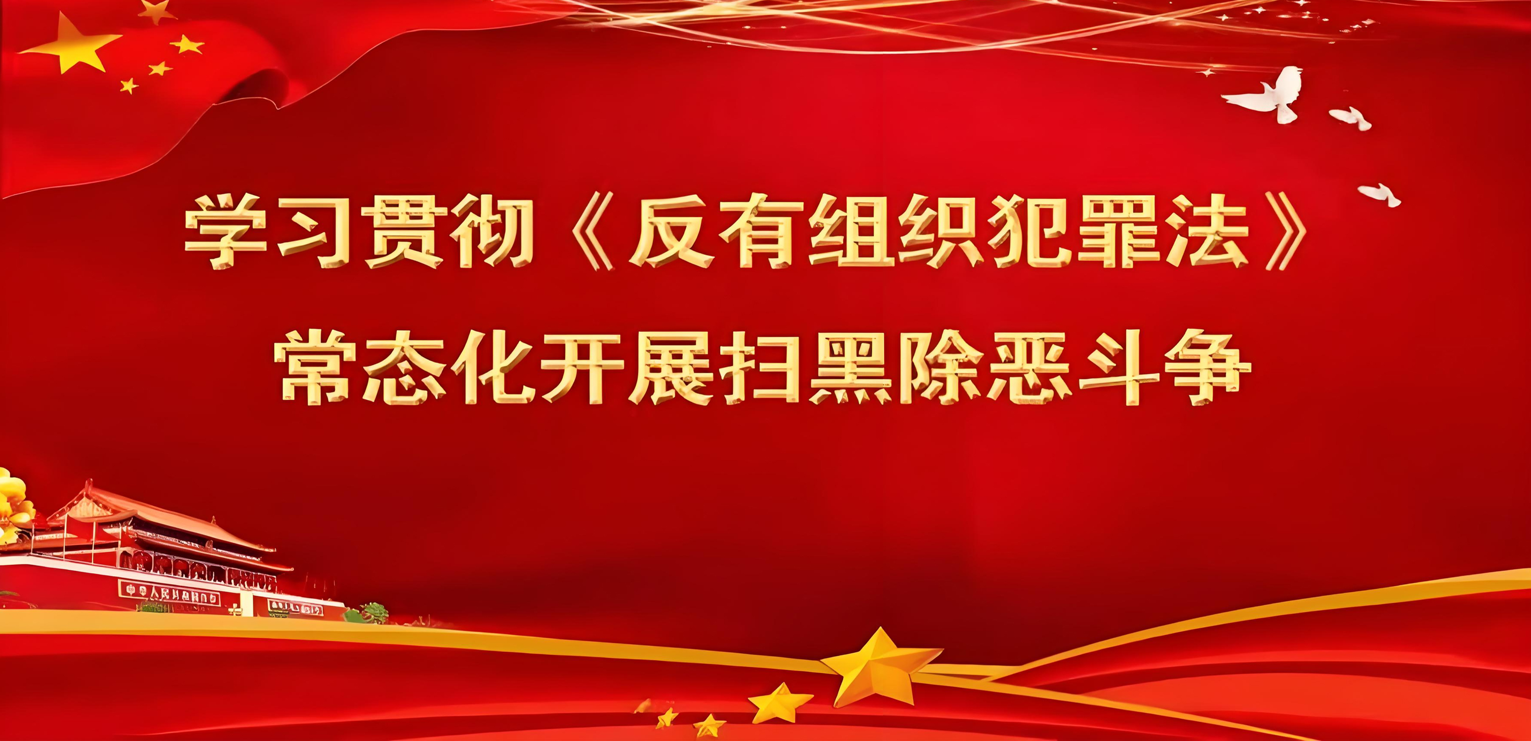 反有组织犯罪法学习2025年6月