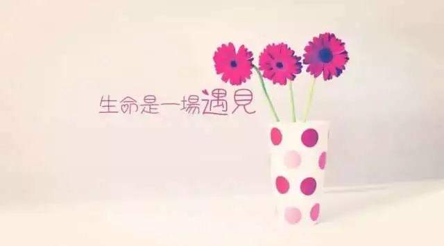 640.webp.jpg 640.webp.jpg